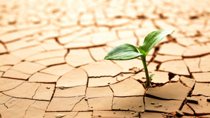 Chronic Back Pain (or Why Persistence Matters)